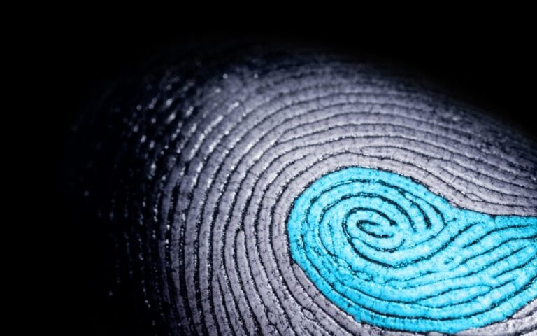 fingerprint