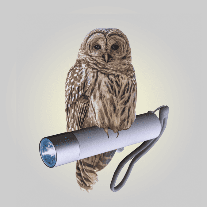Owl perched on telescope