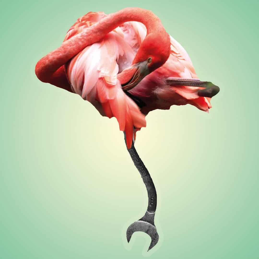 Flamingo with wrench as feet