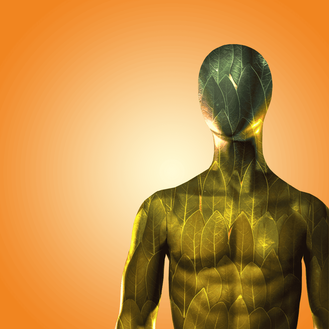 Leaf mannequin against orange radial gradient background