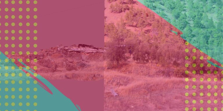 A landscape photo edited with geometric overlays in pink, teal, and green. The scene shows a grassy and rocky terrain with scattered trees. A part of the image is filtered with a pink hue, and another with a green hue, adding an abstract effect.