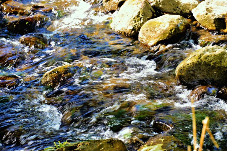 A close-up view of a shallow stream flowing over rocks, with water glistening in sunlight and creating ripples and reflections among the smooth, mossy stones.