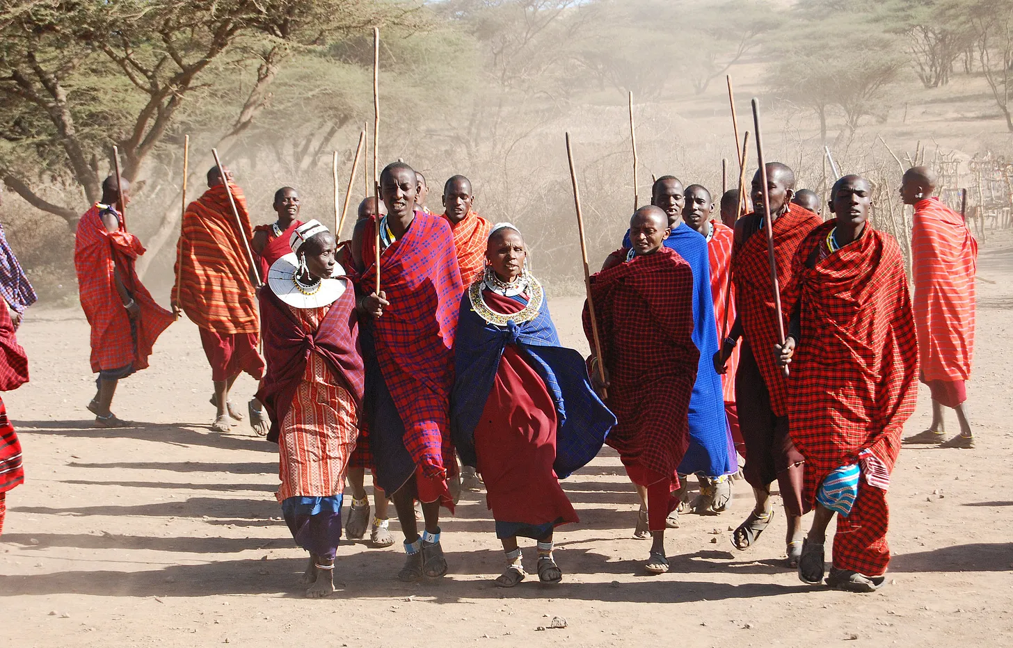 A group of Maasai people in colorful traditional clothing and beadwork walk together outdoors on dusty ground, carrying sticks, with trees and sunlight in the background.