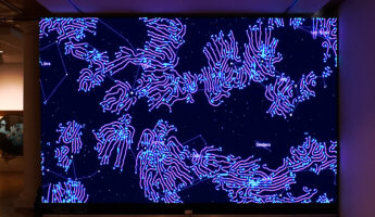 A glowing digital art installation displays blue and purple abstract, wavy lines over a starry background with constellation names in Spanish, set in a dimly lit gallery with wooden floors.