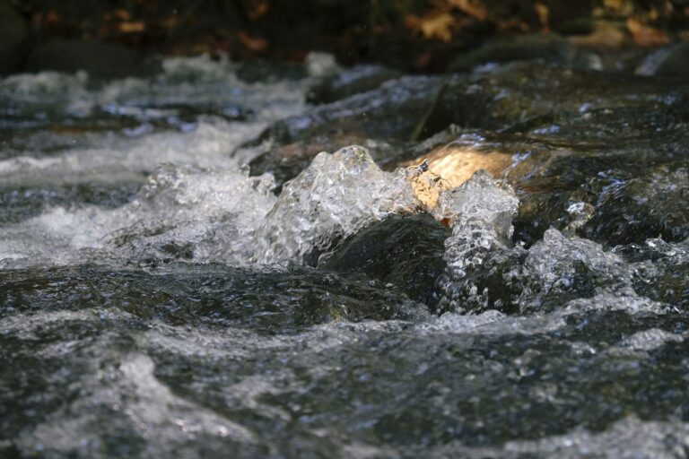 Close-up of clear, fast-flowing water splashing over dark rocks in a stream, with light reflecting off the surface and a natural, outdoor background.