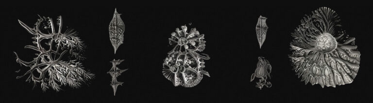 Stills from the Living Lithographs exhibition at Edinburgh Futures Institute