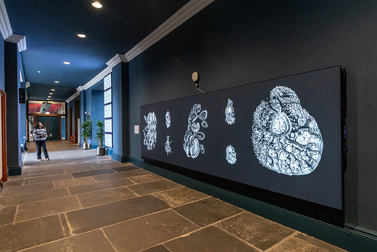 A corridor with dark blue walls and stone flooring features a large digital screen displaying white scientific-style illustrations of cells or microorganisms. A person walks in the distance near a doorway and potted plant.
