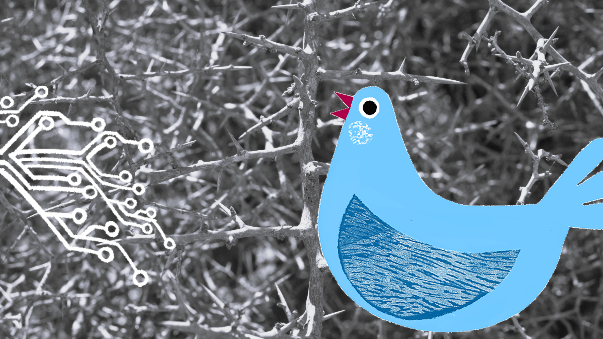 A blue cartoon bird sings in front of dense, sharp thorns. To the left, a white digital circuit pattern appears, merging technology with nature. The background is greyscale and the bird and circuit are coloured.